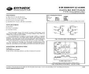 DIM800DDM12-A000.pdf