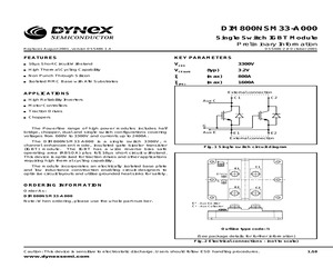 DIM800NSM33-A000.pdf