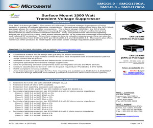 SMCJ22CAE3.pdf