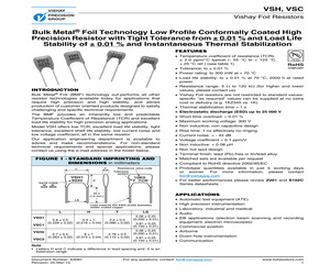 VSC19R0900AB.pdf