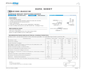 BAS21WT/R13.pdf