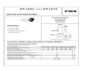 BR1005.pdf