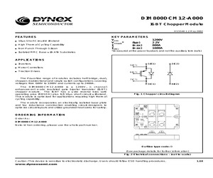 DIM800DCM12-A000.pdf