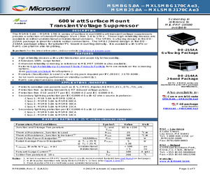 MSMBJ45CA.pdf