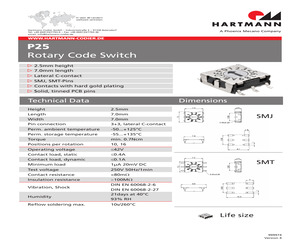 P25SMT101.pdf