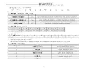 CT81-N12Y5P8E132ZSPW.pdf