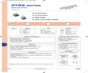 P65SMT101.pdf