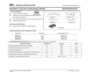 BAS21A.pdf