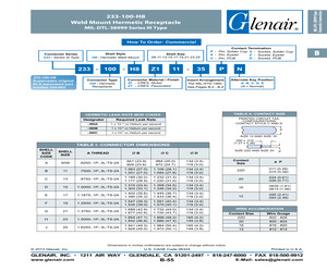 447HS918NF21-1.pdf