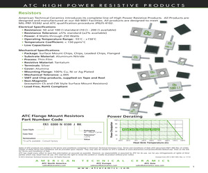 FR10300N0100JBK.pdf