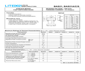 BAS21A.pdf